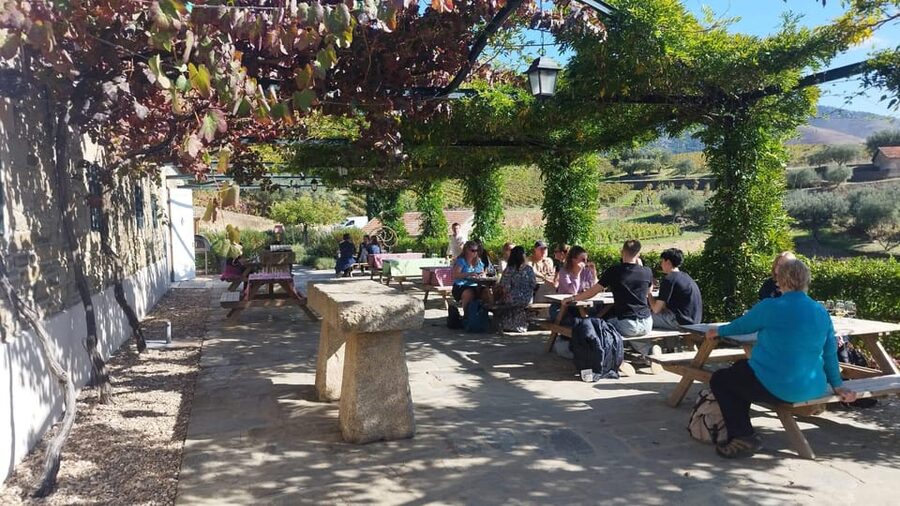 From Pinhão: Douro Valley Tour w/ Wine Tasting and Boat Trip - Should you book it?