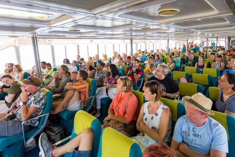From Porec: Venice Catamaran Crossing One-Way or Round-Trip - Luggage, pets, and practical limits