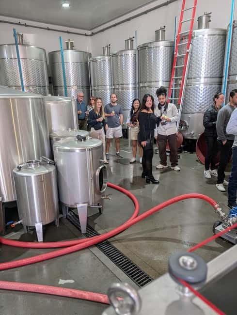 From Porto: 2 Wine Regions, Farm-to-Table Lunch & Boat - Should you book the two-region wine day?