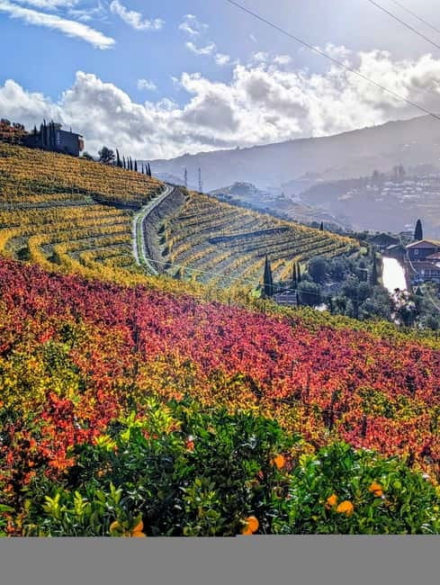From Porto: 2 Wine Regions, Farm-to-Table Lunch & Boat - Pinhão gives you an hour on the Douro