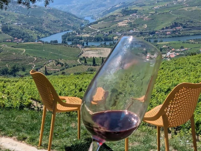From Porto: 2 Wine Regions, Farm-to-Table Lunch & Boat - How much wine is too much wine?