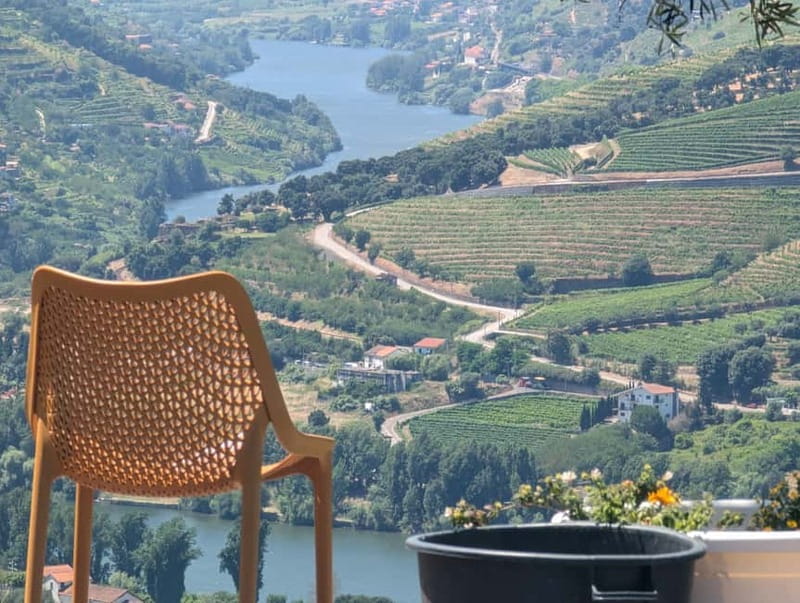From Porto: 2 Wine Regions, Farm-to-Table Lunch & Boat - The pace, vehicle, and practical limits