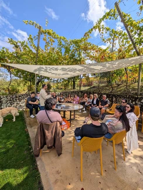 From Porto: 2 Wine Regions, Farm-to-Table Lunch & Boat - Is $94 a fair price?