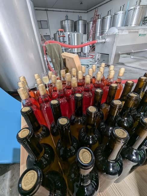 From Porto: 2 Wine Regions, Farm-to-Table Lunch & Boat - Who will enjoy this day most?