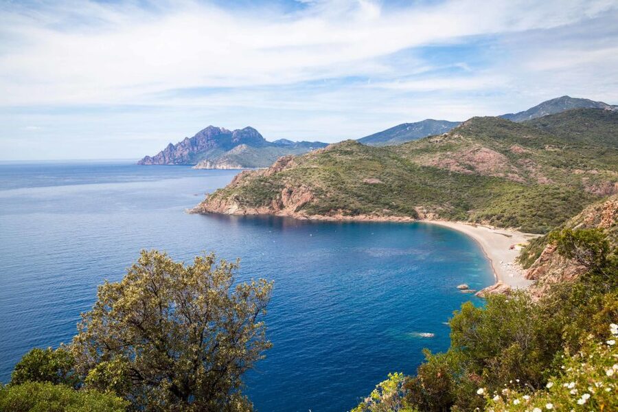 From Porto: Boat tour to the Calanches of Piana & Capo Rosso - Ficajola Beach and its red-rock cove