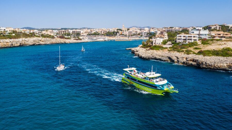 From Porto Cristo: East Coast Glass-Bottom Boat Trip - How much can you really see through the glass bottom?