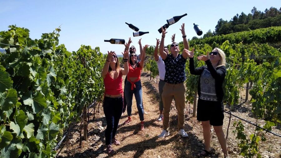 From Porto: Douro Valley Tour with Tastings, Boat & Lunch - Key points at a glance