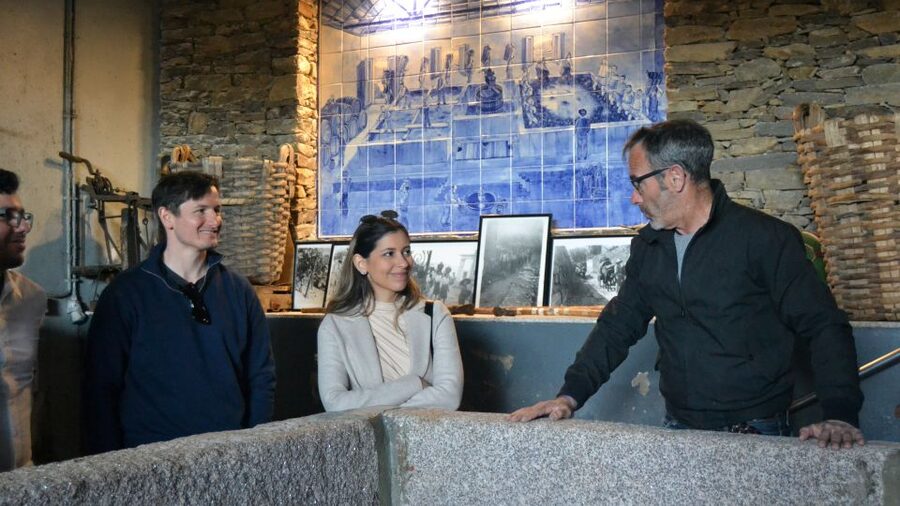 From Porto: Douro Valley Tour with Tastings, Boat & Lunch - The second winery and the Port lesson