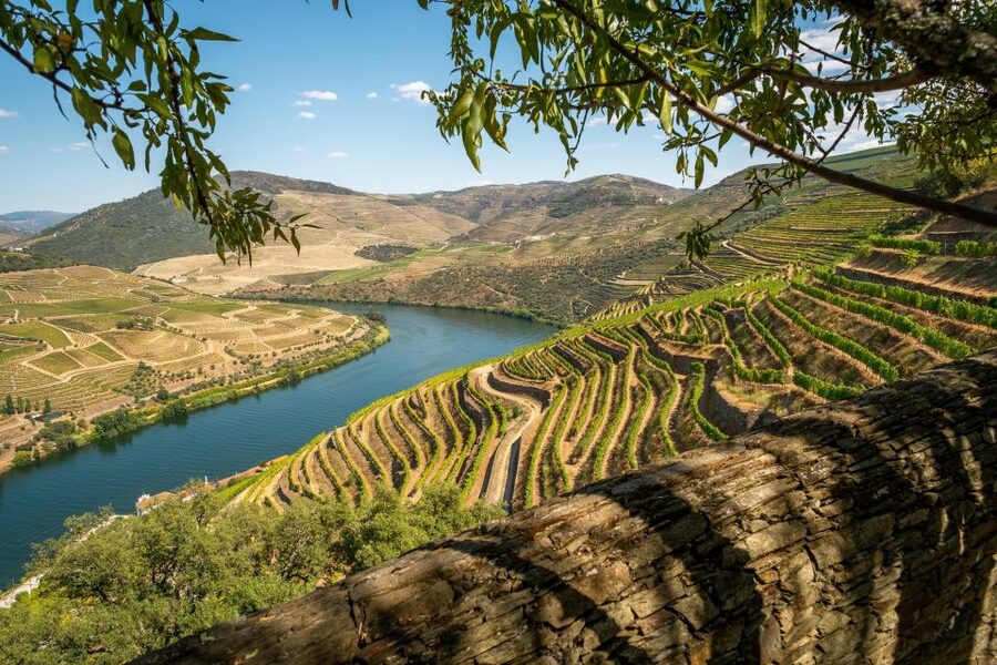 From Porto: Douro Valley Tour with Tastings, Boat & Lunch - Is $165 a fair price?