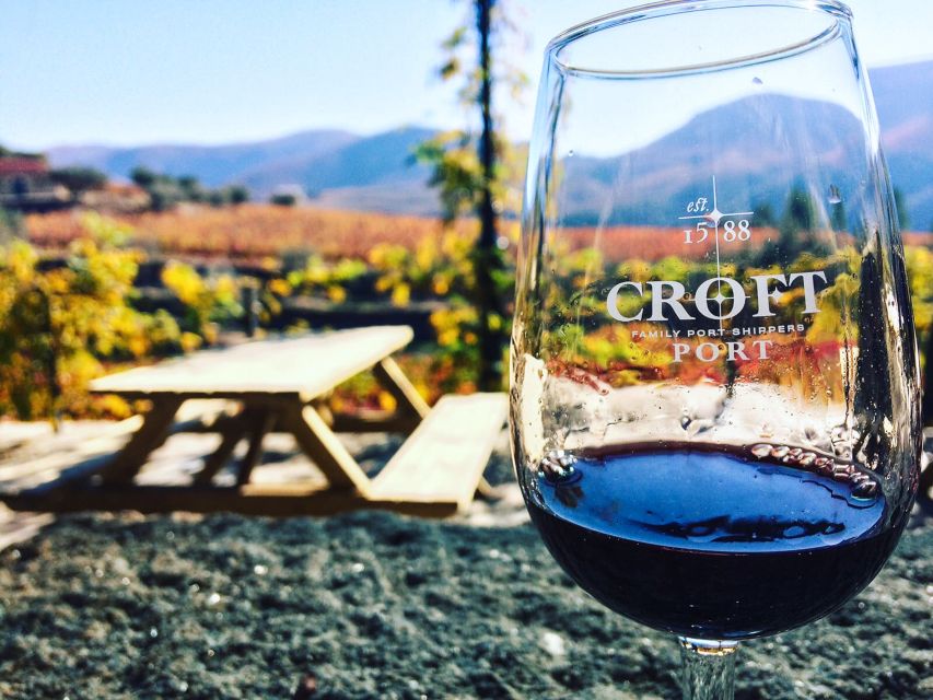 From Porto: Douro Valley w/ Boat Tour, Wine Tasting & Lunch - Practical details before you reserve