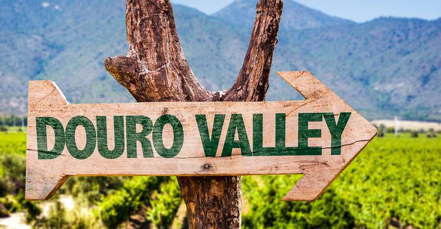 From Porto: Douro Valley w/ Boat Tour, Wine Tasting & Lunch - Pinhão’s second wine visit