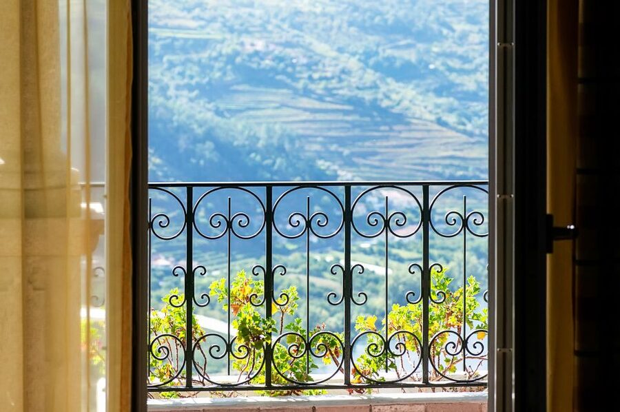 From Porto: Douro Valley w/ Boat Tour, Wine Tasting & Lunch - Group size, guides, and the pace of the day