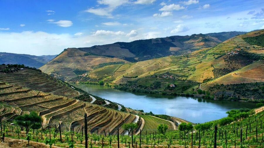 From Porto: Régua to Porto River Cruise with Lunch on Board - Key points to know before booking