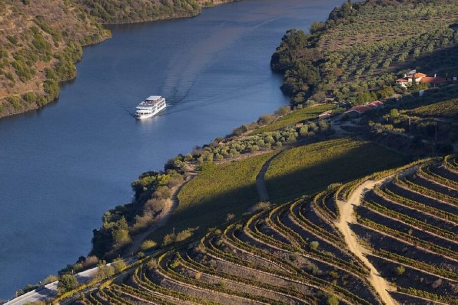 From Porto: Régua to Porto River Cruise with Lunch on Board - Régua, the heart of Douro wine country