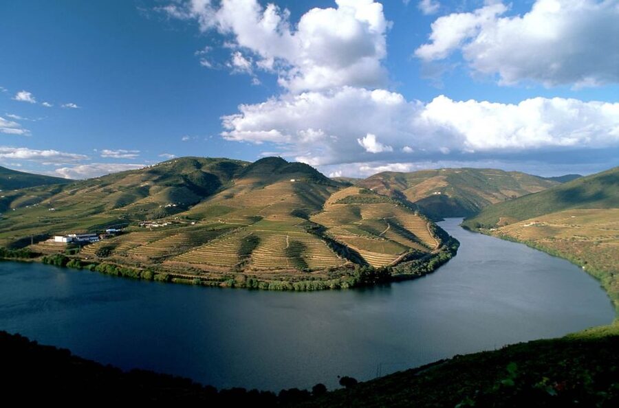 From Porto: Régua to Porto River Cruise with Lunch on Board - Crossing the Carrapatelo and Crestuma-Lever dams