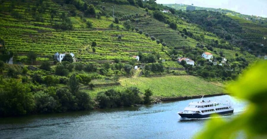 From Porto: Régua to Porto River Cruise with Lunch on Board - What the final hours are really like