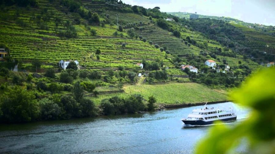 From Porto: Régua to Porto River Cruise with Lunch on Board - Who should book this Douro cruise