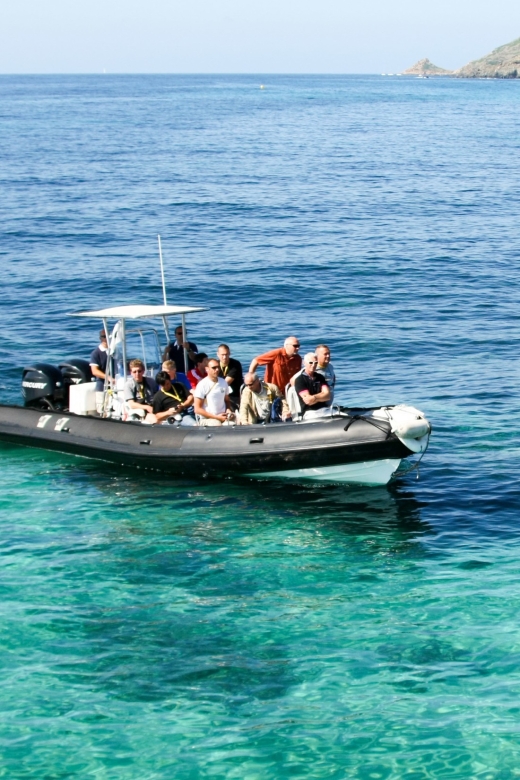 From Porto: Scandola and Calanche de Piana Boat Tour - From Place de la Marine into the Gulf of Porto
