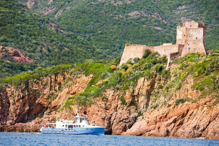 From Porto: Scandola & Girolata Tour by Boat - Key points to know before you book