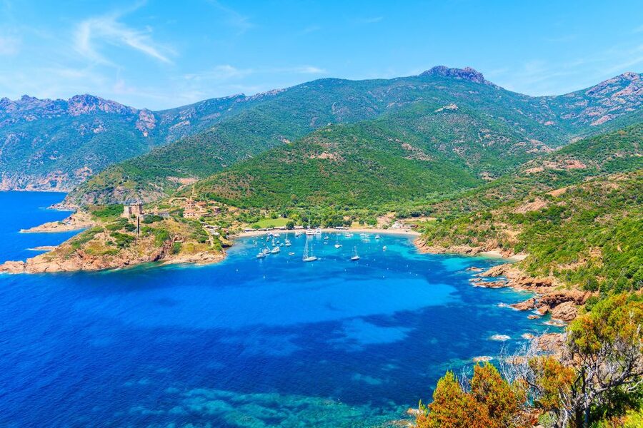 From Porto: Scandola & Girolata Tour by Boat - The Calanche de Piana option may change the calculation