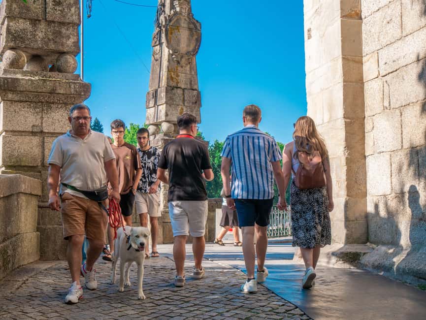 From Porto: Small Group Douro Valley Tour with Wine & Cruise - Who should book this Douro Valley tour?