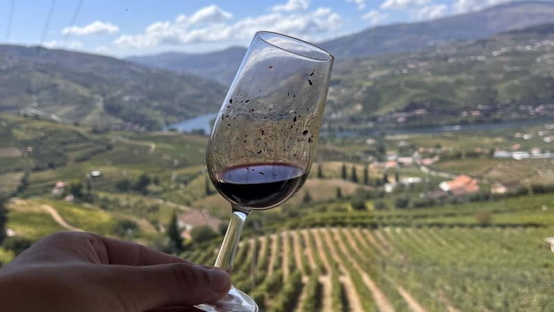 From Porto: Tastings at 2 Wineries, Chef's Lunch & Boat Tour - The family estate lunch