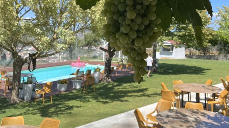 From Porto: Tastings at 2 Wineries, Chef's Lunch & Boat Tour - How much wine will you actually drink?