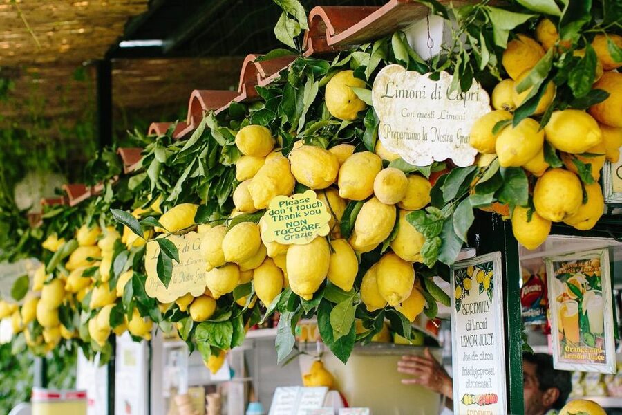 From Positano: Sorrento Coast & Capri Full-Day Trip by Boat - Drinks, Snacks, and the Social Side of the Boat