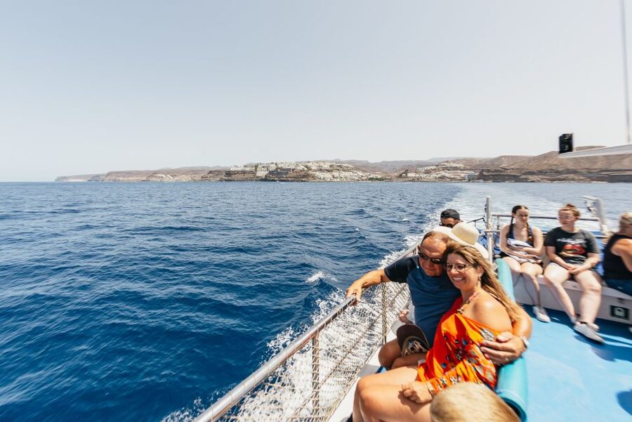 From Puerto Rico de Gran Canaria: Dolphin Watching Cruise - Booking details worth knowing