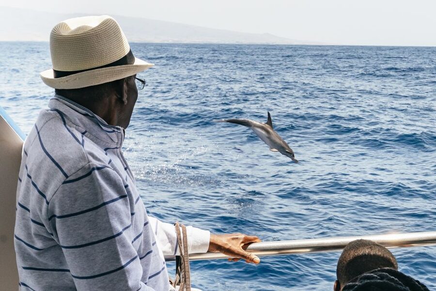 From Puerto Rico de Gran Canaria: Dolphin Watching Cruise - Seasickness is the serious consideration