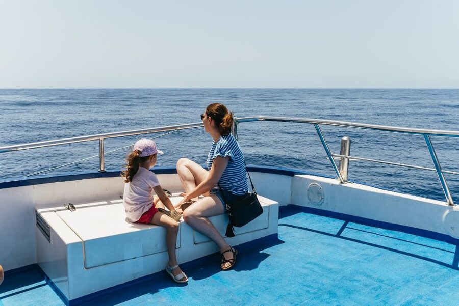From Puerto Rico de Gran Canaria: Dolphin Watching Cruise - How the sighting guarantee works