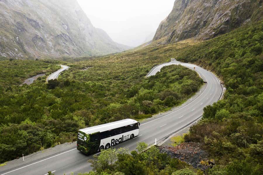 From Queenstown: Milford Sound Cruise and Coach Day Tour - Key points to know before you book