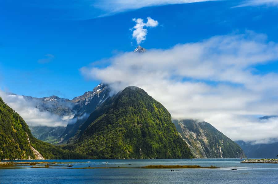 From Queenstown Milford Sound Cruise & Glass-Roof Coach Tour - From Lake Wakatipu to Te Anau