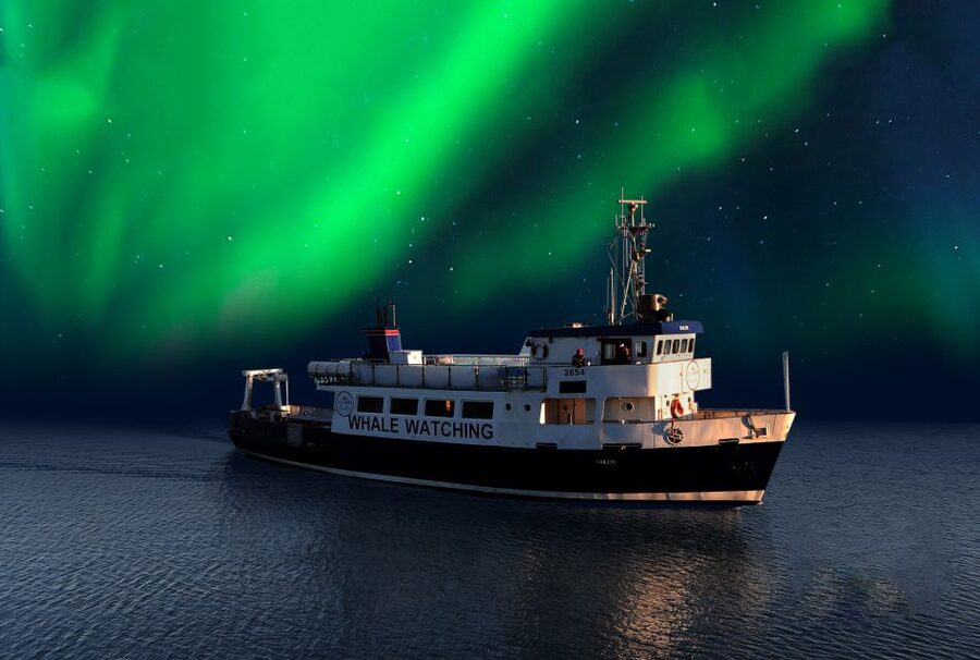 From Reykjavik: Northern Lights Sightseeing Cruise - Key points to know before sailing