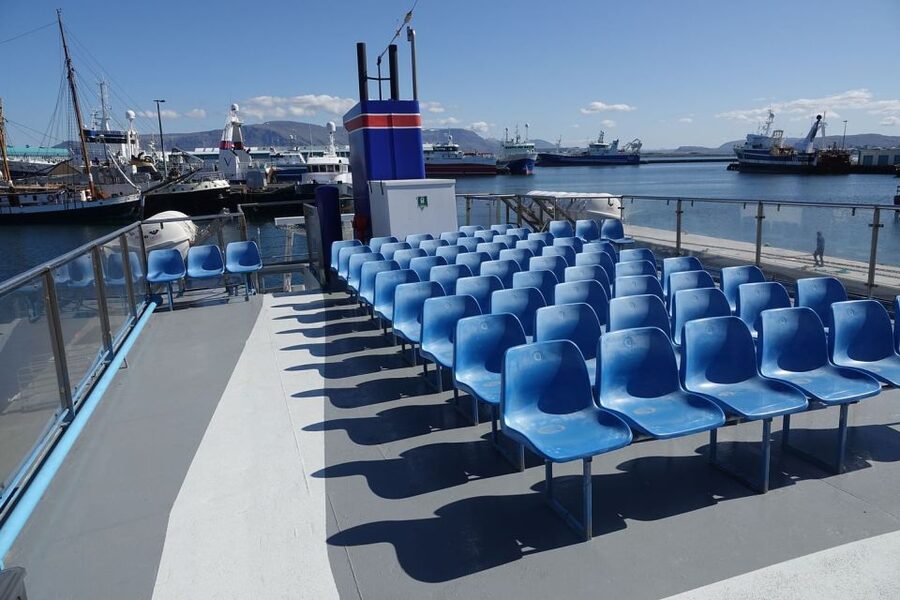 From Reykjavik: Northern Lights Sightseeing Cruise - The guides make the waiting easier