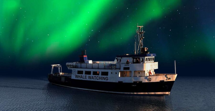 From Reykjavik: Northern Lights Sightseeing Cruise - What the two-hour route feels like