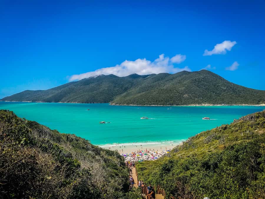 From Rio: Arraial do Cabo Day Trip with Boat Tour - The four-hour journey from Rio