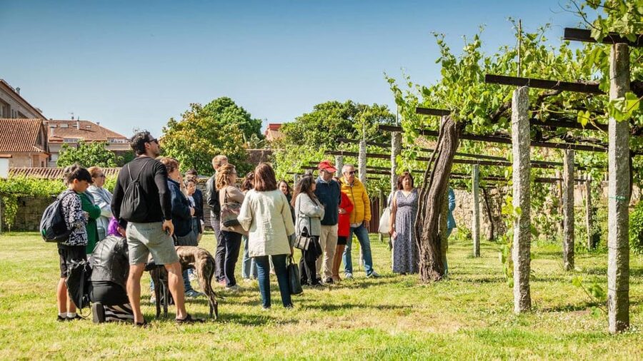 From Santiago: Tour to Rias Baixas with Boat Trip and Winery - Why the mussel cruise makes this day special