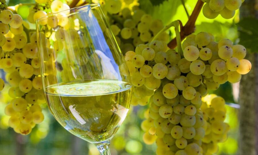 From Santiago: Tour to Rias Baixas with Boat Trip and Winery - Who should book this Galicia day trip?