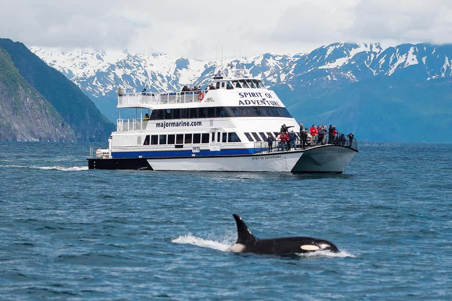 From Seward: Kenai Fjords National Park Cruise with Lunch - Key points to know before booking