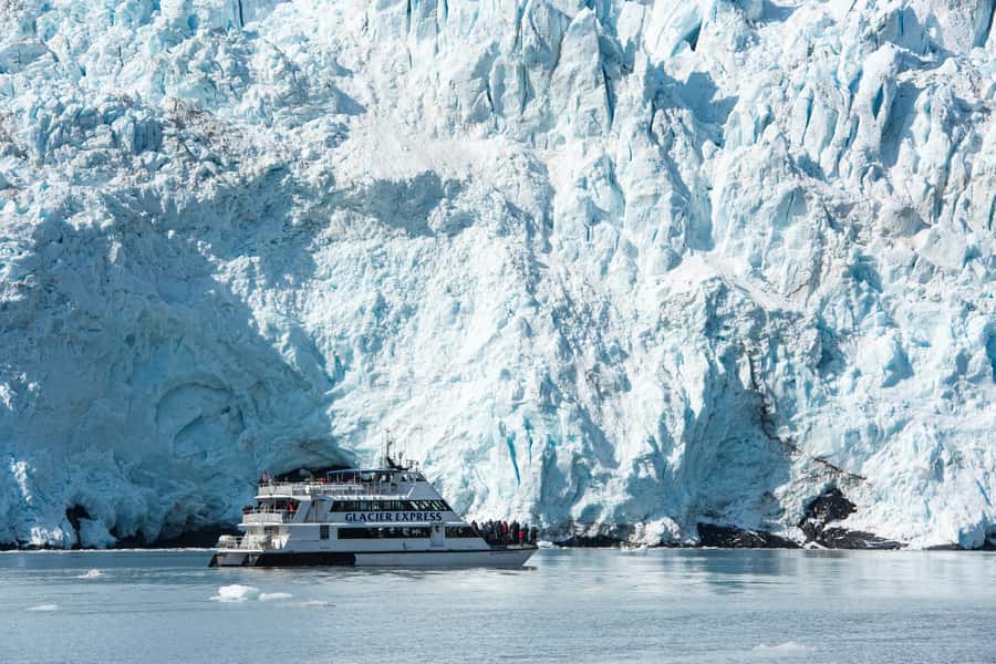 From Seward: Kenai Fjords National Park Cruise with Lunch - Searching for wildlife in Kenai Fjords