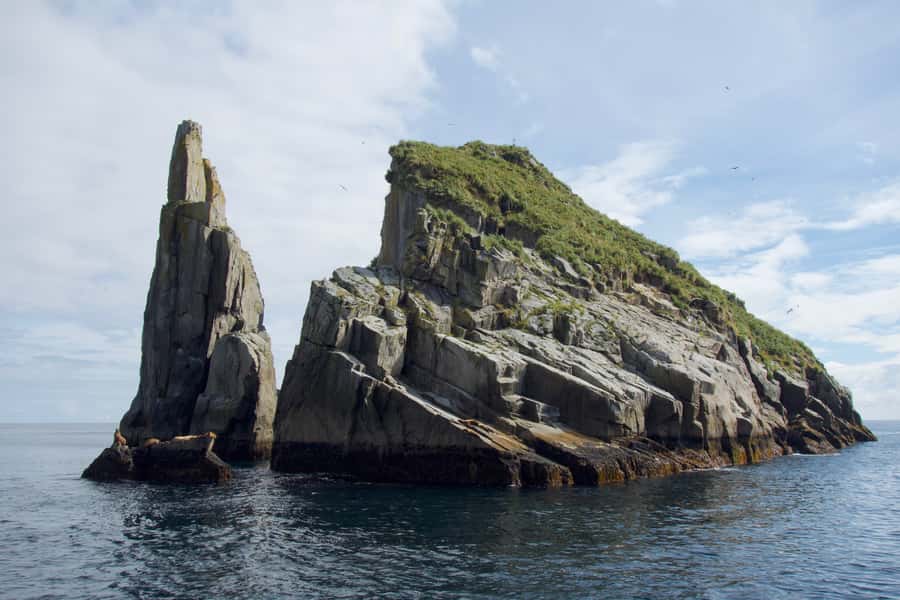From Seward: Kenai Fjords National Park Cruise with Lunch - Starting in Resurrection Bay