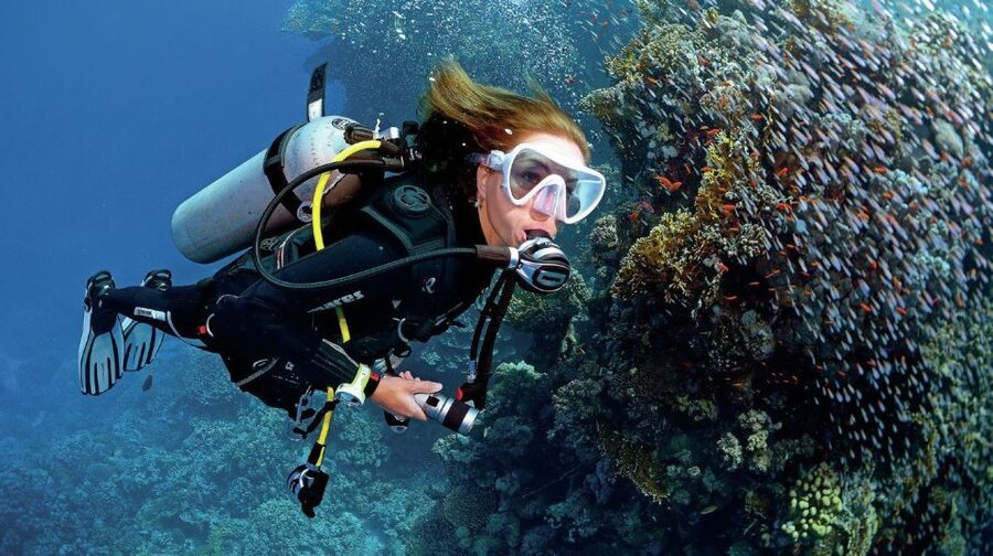 From Sharm: Ras Muhammed & White Island By Boat & intro Dive - Key points at a glance