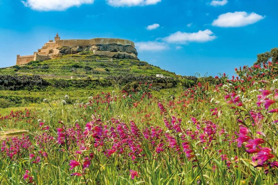 From Sliema: Gozo, Comino & The Blue Lagoon Boat & Bus Tour - The new Blue Lagoon access rule