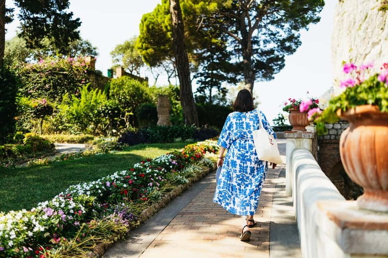 From Sorrento/Nerano: Capri Island Cruise with Guide Onboard - Anacapri and Monte Solaro