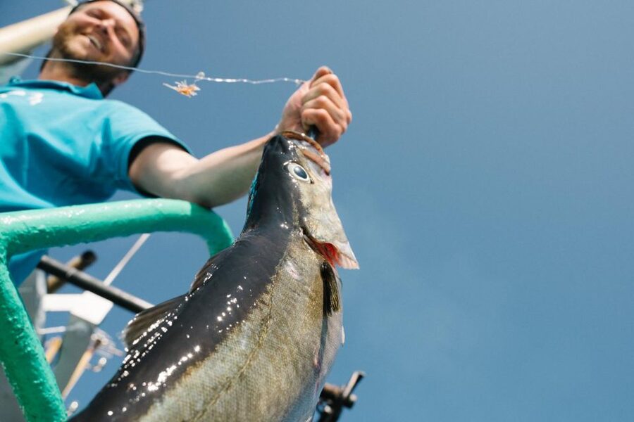 From Svolvaer: Lofoten Fishing Boat Cruise - From Svolvaer harbor to the Lofoten fishing grounds