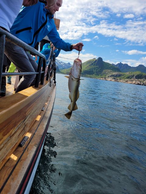 From Svolvaer: Lofoten Fishing Boat Cruise - Cod, pollock, haddock, and the chance of a proper meal