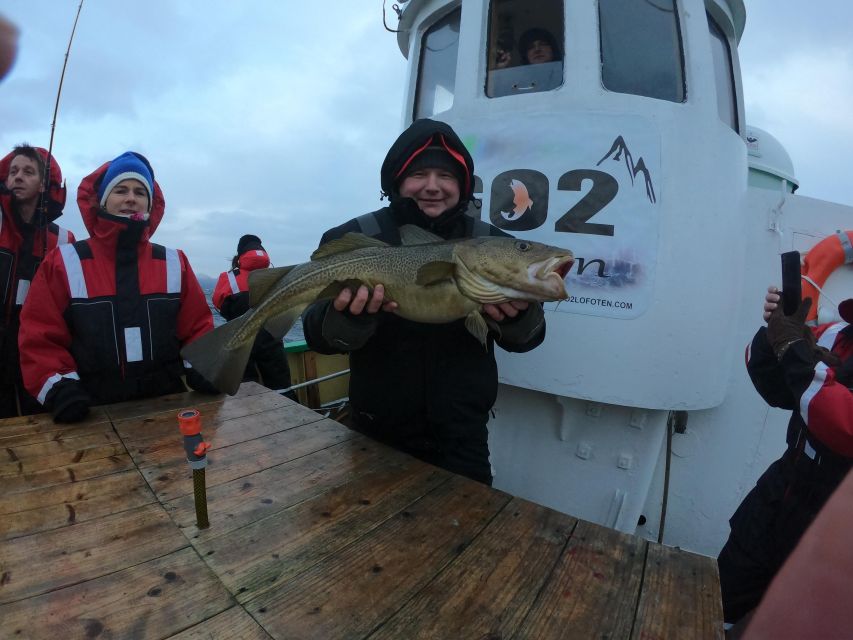 From Svolvaer: Lofoten Fishing Boat Cruise - Should you book it?