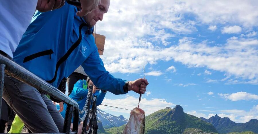 From Svolvaer: Lofoten Fishing Boat Cruise - Four hours of real fishing, not a quick photo stop