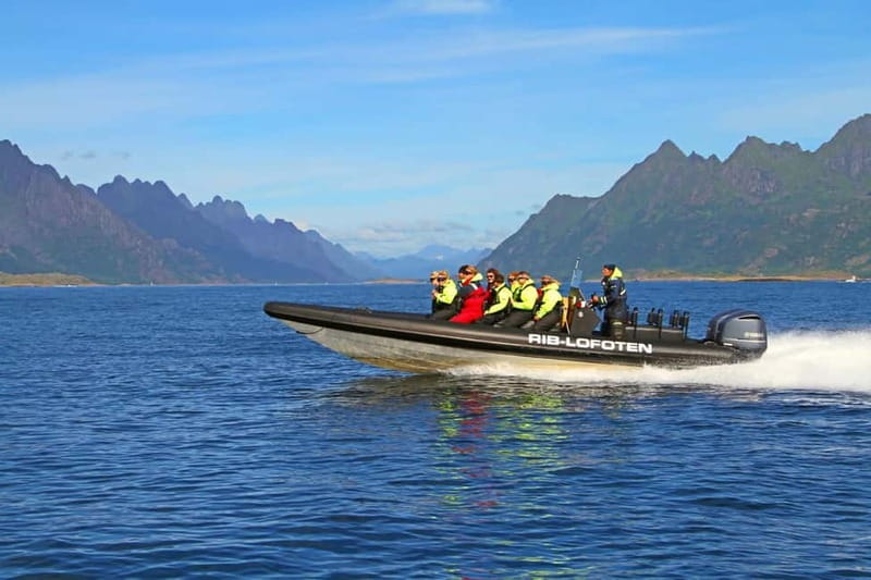 From Svolvær: Lofoten RIB Sea Eagle Safari Trollfjord Cruise - Why this short Trollfjord trip works so well